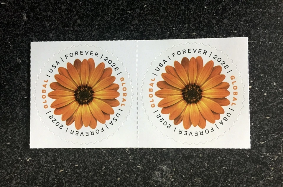 2022USA #5680 Global Forever Rate - African Daisy - Block of 2 Mint sase postage - Image 1 of 1