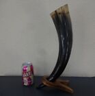 Very Large Celtic Medieval Viking Drinking Horn With Wood Display Stand
