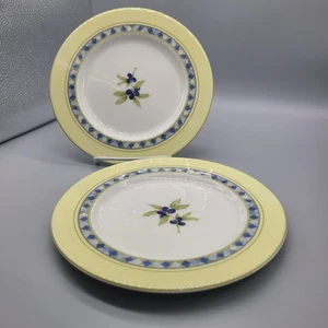 Set (2) Royal Doulton Carmina 9" Salad Luncheon Plates Olives Yellow Blue - Picture 1 of 4