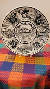 Pikes Peak Colorado Souvenir Teller Fine American Ironstone 10 1/4" Floral Plate - Bild 1 von 3