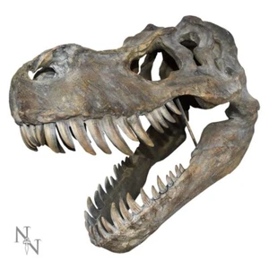 Nemesis Now Tyrannosaurus Rex Large Dinsoaur Skull 51.5cm - Picture 1 of 2