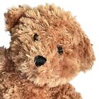 Aurora JDRF Rufus The Therapeutic Bear With Diabetes Plushie Stuffed Animal Toy