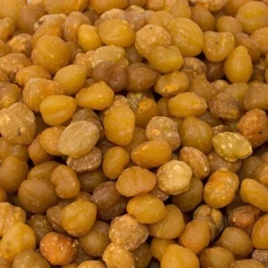 Graines d’Akpi - الأكبي - Imagen 1 de 6