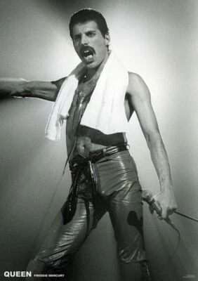 FREDDIE MERCURY - VINTAGE Poster Popular Premium Quality Choose your Size - Image 1 of 2
