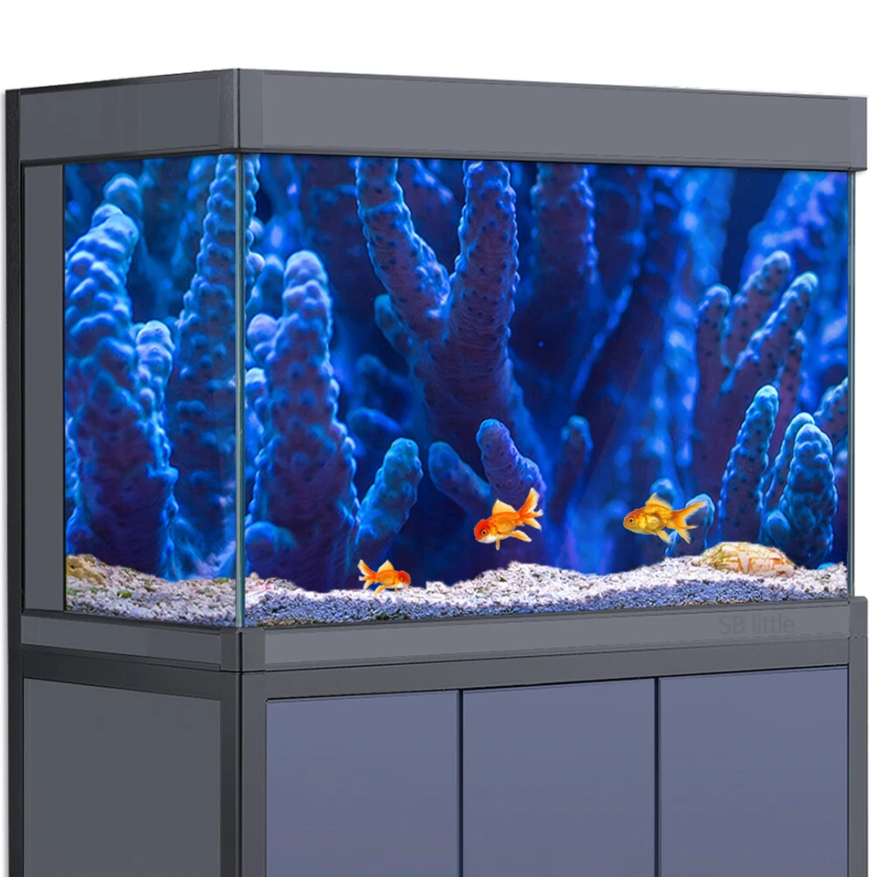 Наклейка фон аквариума, синий коралл аквариум украшения плакат - Изображение 1 из 4