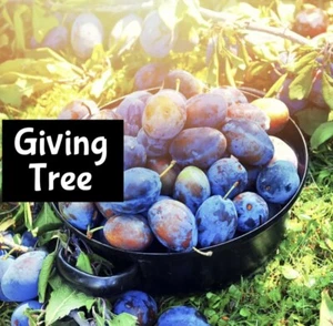 GIVING TREE Perfume Cologne Beauty EDP Lotion Body Scrub Hair Beard Bath Oil - Picture 1 of 11