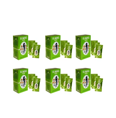 Té adelgazante de hierbas (6 cajas) - Mezcla de desintoxicación alemana | Quemador de grasa y limpieza Foto 1 de 4