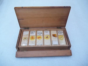 Antique Glass Microscope Slides - Foto 1 di 5