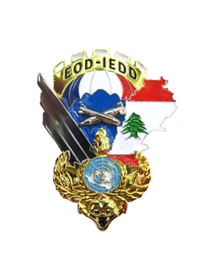INSIGNE GENIE PARACHUTISTE 17° RGP 3° COMPAGNIE EOD - IEDD OPEX FINUL LIBAN - Picture 1 of 2