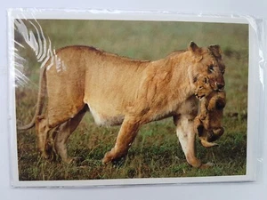 NEUF CARTE LION TOUTE OCCASION - Picture 1 of 1