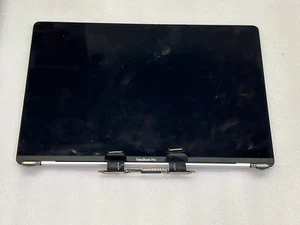 "PANTALLA LCD ORIGINAL DE APPLE MACBOOK PRO 15" A1707 DE 2016/17 PLATA GRADO ... - Imagen 1 de 6
