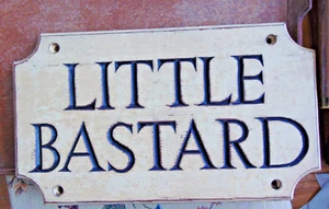 LITTLE BASTARD WOODEN SIGN- 16 X 9 1/4" IN SIZE.. - Picture 1 of 3