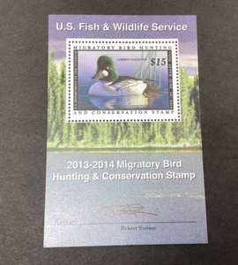 Francobollo US Federal Duck #RW80b occhio d'oro comune 2013 mini foglio artista firmato MNH - Foto 1 di 4