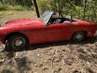1963 Austin Healey Sprite 