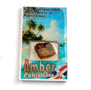 Beautiful Unique Handcrafted Amber Fridge Magnet  Punta Cana  Dominican Republic - Picture 1 of 5