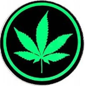 MARIHUANA BLATT AUFKLEBER LAPTOP AUFKLEBER STOßSTICKER FENSTER AUFKLEBER HARTMÜTZE - Bild 1 von 1