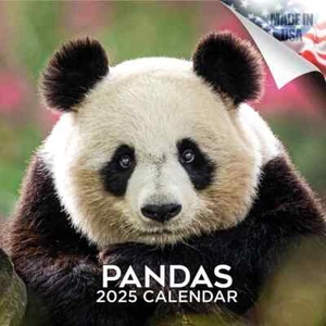 PANDAS Wandkalender 2025 Tier Bär Liebhaber Geschenk Bambus - Bild 1 von 2