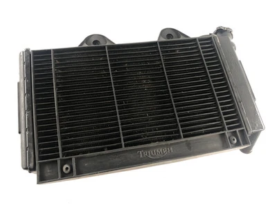 Triumph Daytona 1200 T300D [1995] - Enfriador de agua Foto 1 de 4
