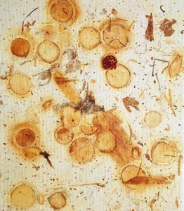 John Cage Lithograph Original COA Signature And Stamp (Yoko Ono Bob Dylan) - Picture 1 of 9