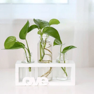 Jarrones hidropónicos para plantas maceta florero transparente marco de madera maceta de mesa Foto 1 de 4