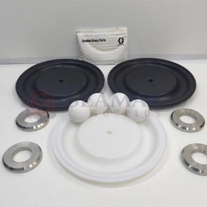 Graco D0F311-SST/PTFE WET END SERVICE KIT FÜR HUSKY 2150, GI#108+ - Bild 1 von 4