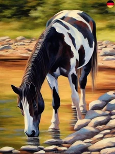 DIY 5D Diamond Painting Zubehör Kit PferdBohren Voll Stickerei Strass Diamant  - Bild 1 von 4