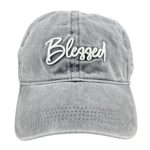 Adult BLESSED CAP Gray - OSFM - Adjustable - Picture 1 of 6
