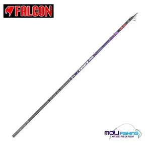 CANNA PESCA BOLOGNESE FALCON VENERE VIOLA 6 - 7 - 8 M AZIONE 20 GR MEDIUM NEW - Imagen 1 de 1