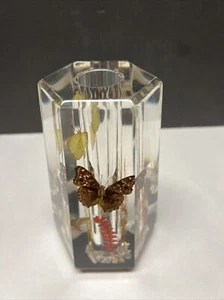 VTG THICK Acrylic vase or Candle Holder With Butterflies 70's Lucite 7" HEAVY - Picture 1 of 10