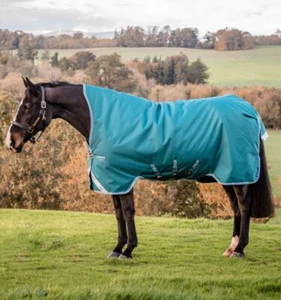 Horseware Amigo Bravo 12 Wug Turnout 0g Light Highneck Storm Green / Aqua & Turq - Bild 1 von 5