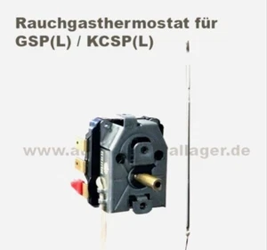 Termostato de gases de combustión hasta 300°C para ATMOS GSP(L) y KCxxSP(L) - con 2 circuitos - Imagen 1 de 4
