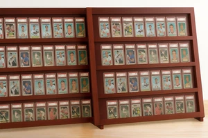 Graded Trading Card Display Case 72 PSA Slabs Tabletop USA Sport Cherry Stand - Picture 1 of 17