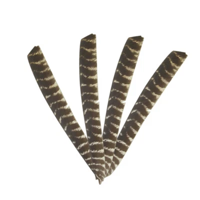 Full Length Arrow Natural Feathers Fletches Turkey Fletching Archery Arrow DIY - Image 1 of 4