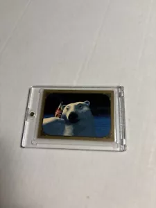 Coca Cola Gold Card Series 2 Polar Bear #289 - Picture 1 of 3