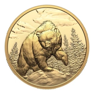 1 oz 200$ Kanada Goldmünze Grizzlybär - Ultra High Relief  2023 PP - Picture 1 of 3