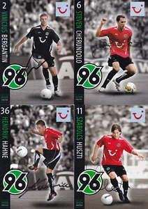Hannover 96 - Saison 2008/09, 11 Autogrammkarten mit Originalunterschrift! - Picture 1 of 1