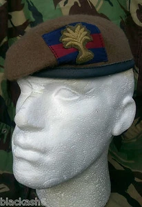 Welsh Guards Small Crown Beret & Cloth Cap Badge. Various Sizes New - Foto 1 di 2