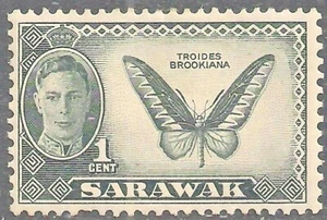 SARAWAK 1950 SG171 KGVI 1c. TROGONOPTERA BROOKIANA BUTTERFLY  -  MNH - Picture 1 of 1