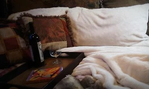 Super Soft Silky Plush Sheets - Queen - New - Picture 1 of 2