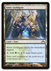 Simic Guildgate #246 (NM) Gatecrash GTC Magic MTG - Picture 1 of 2