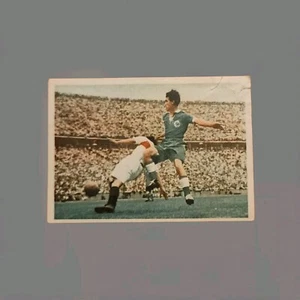 #431 Schuma OK  1950/51  JOSEF  " Jupp "  RÖHRIG  1.FC Köln / DFB BildNr. 37 - Bild 1 von 2