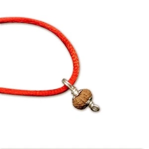 14 Mukhi Rudraksha Pendant from Java (Indonesia) 12mm-14mm Small Size Certified - Picture 1 of 2