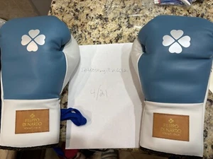 Dinardo boxing gloves - Picture 1 of 5