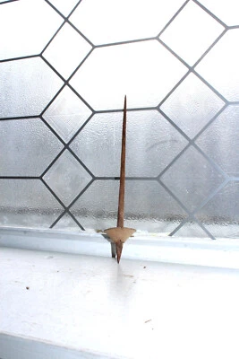 Antiguo Andes India Hecho a Mano Madera Husillo Giratorio Hilo Enrollador Foto 1 de 4