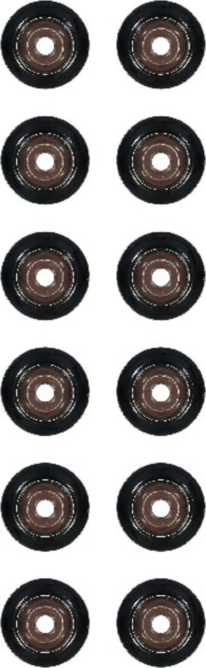 Juego de juntas de aceite de vástago de válvula de motor admisión Victor Reinz para BMW M240i xDrive 2017-20 Foto 1 de 1