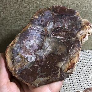 GLORIOUS COLOR Madagascar Petrified Wood Round 350g d64 - Picture 1 of 9