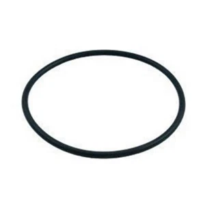 APC APCO2422 Lid O-Ring - Picture 1 of 1
