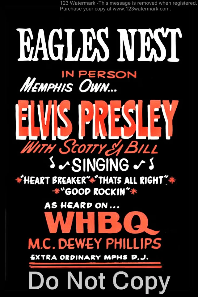 Elvis Presley Concert Poster 12"x18" - Image 1 of 1