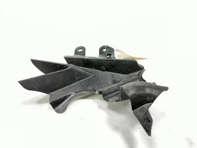 Carenado interior delantero izquierdo 16 Triumph Daytona 675 R 2308424 Foto 1 de 4