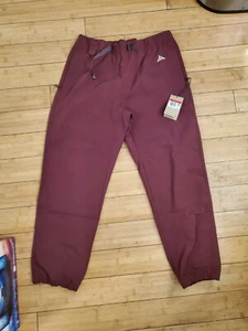 Nike ACG Trail Pants CV0660-681 Mens Size L Maroon New With Tags - Picture 1 of 7